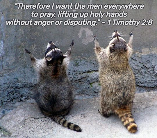Praying Raccoons |  "Therefore I want the men everywhere to pray, lifting up holy hands without anger or disputing." ~ 1 Timothy 2:8 | image tagged in funny,religion,bible,bible verse,raccoon,praying | made w/ Imgflip meme maker