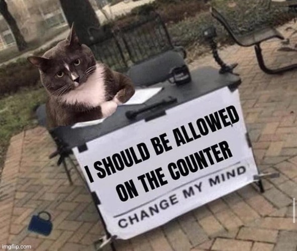 image tagged in cats,counter,get down | made w/ Imgflip meme maker