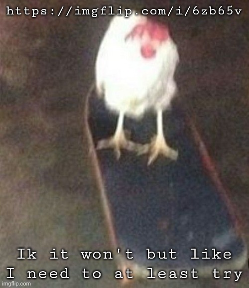 Dog on skateboard | https://imgflip.com/i/6zb65v; Ik it won't but like I need to at least try | image tagged in dog on skateboard | made w/ Imgflip meme maker