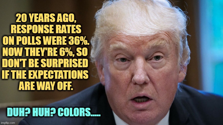 The red wave could be a red ripple. Be prepared. | 20 YEARS AGO, RESPONSE RATES ON POLLS WERE 36%. NOW THEY'RE 6%, SO 
DON'T BE SURPRISED 
IF THE EXPECTATIONS 
ARE WAY OFF. DUH? HUH? COLORS..... | image tagged in trump dilated confused out of it,trump,polls,off | made w/ Imgflip meme maker