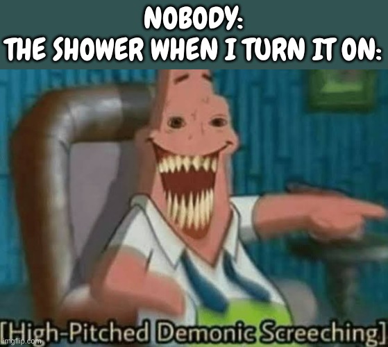 Shower sound, |  NOBODY:
THE SHOWER WHEN I TURN IT ON: | image tagged in high-pitched demonic screeching,shower,stop reading the tags,i said stop,why are you reading this,stop reading these tags | made w/ Imgflip meme maker