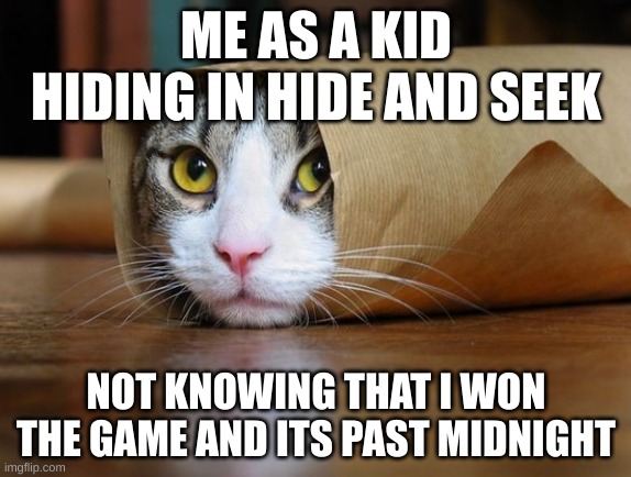 ME AS A KID HIDING IN HIDE AND SEEK; NOT KNOWING THAT I WON THE GAME AND ITS PAST MIDNIGHT | image tagged in lolcats | made w/ Imgflip meme maker