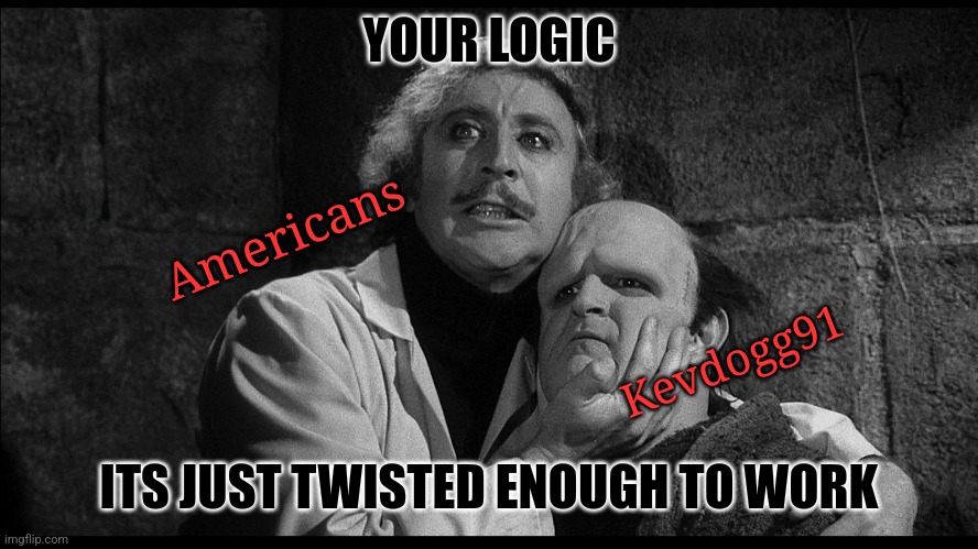Young Frankenstein | YOUR LOGIC ITS JUST TWISTED ENOUGH TO WORK Kevdogg91 Americans | image tagged in young frankenstein | made w/ Imgflip meme maker