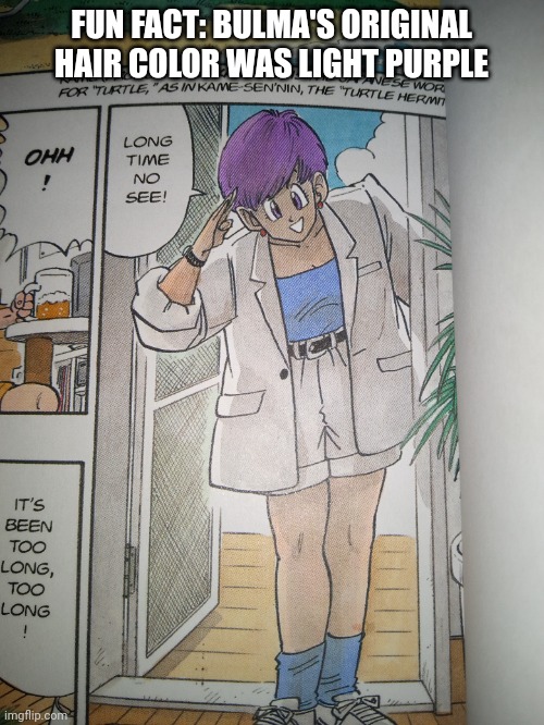 FUN FACT: BULMA'S ORIGINAL HAIR COLOR WAS LIGHT PURPLE | made w/ Imgflip meme maker