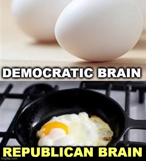 Brain, Brain on Drugs (egg) | DEMOCRATIC BRAIN; REPUBLICAN BRAIN | image tagged in brain brain on drugs egg,democrats,brains,republicans,disabled | made w/ Imgflip meme maker