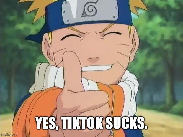 naruto thumbs up | YES, TIKTOK SUCKS. | image tagged in naruto thumbs up | made w/ Imgflip meme maker