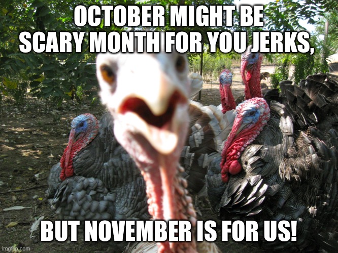 Turkeys |  OCTOBER MIGHT BE SCARY MONTH FOR YOU JERKS, BUT NOVEMBER IS FOR US! | image tagged in turkeys | made w/ Imgflip meme maker