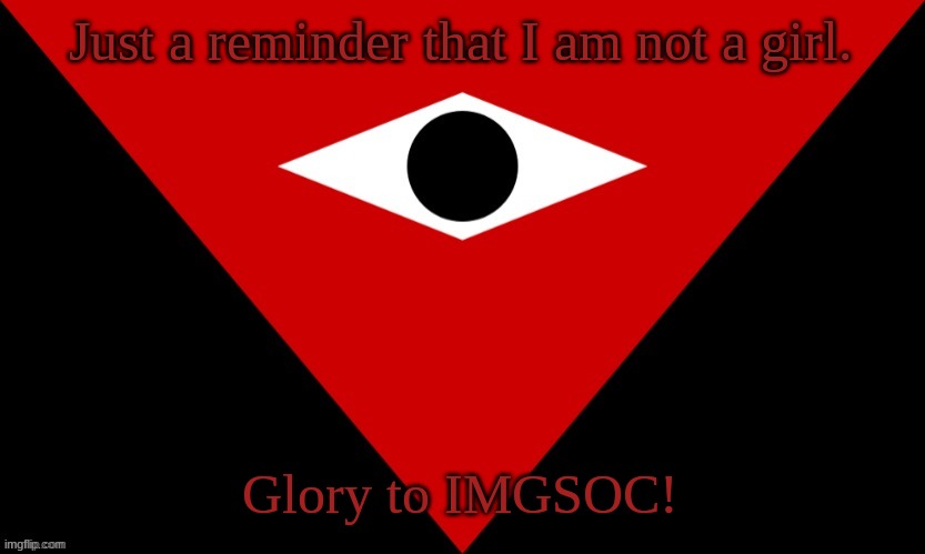 IMGSOC Flag | Just a reminder that I am not a girl. Glory to IMGSOC! | image tagged in imgsoc flag | made w/ Imgflip meme maker