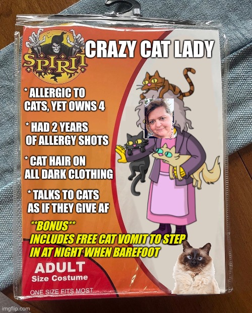 crazy cat lady costume female