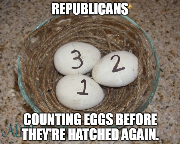 When Republicans lose, they shout "rigged!" or "steal!" And the rest of the world shouts, "Grow up!" | REPUBLICANS; COUNTING EGGS BEFORE THEY'RE HATCHED AGAIN. | image tagged in republicans,elections,losers | made w/ Imgflip meme maker