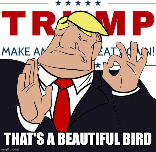 THAT'S A BEAUTIFUL BIRD | made w/ Imgflip meme maker