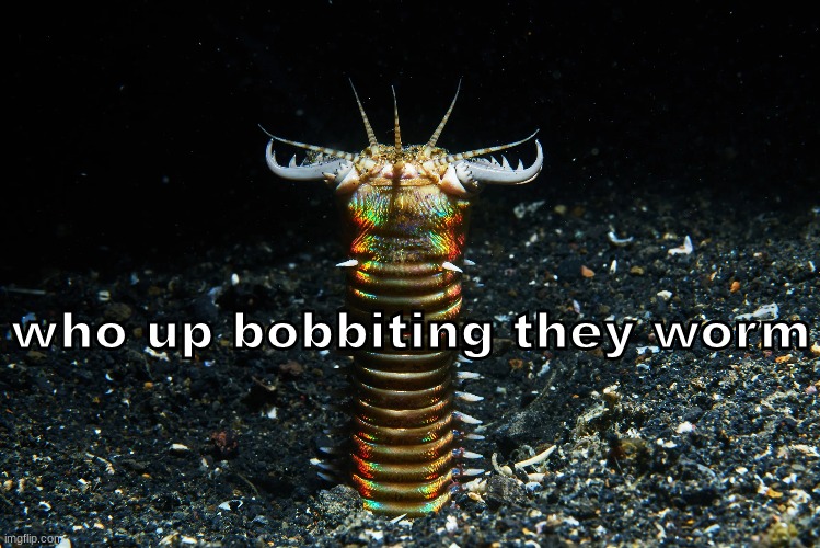who up bobbiting they worm | made w/ Imgflip meme maker