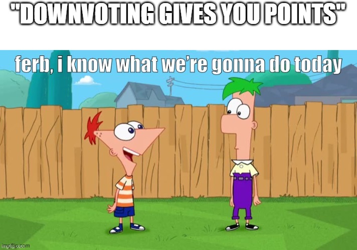 Ferb, i know what we’re gonna do today | "DOWNVOTING GIVES YOU POINTS" | image tagged in ferb i know what we re gonna do today | made w/ Imgflip meme maker