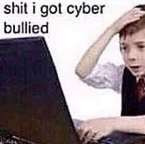 I got cyberbullied | image tagged in i got cyberbullied | made w/ Imgflip meme maker