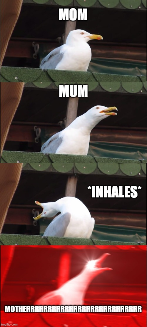 When your mom cant hear you | MOM; MUM; *INHALES*; MOTHERRRRRRRRRRRRRRRRRRRRRRRRRRR | image tagged in memes,inhaling seagull | made w/ Imgflip meme maker