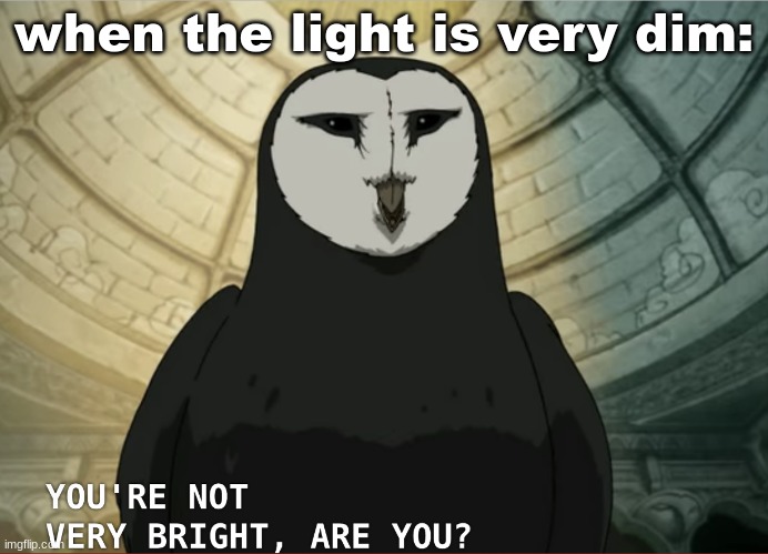 You're not very bright, are you? | when the light is very dim: | image tagged in you're not very bright are you | made w/ Imgflip meme maker