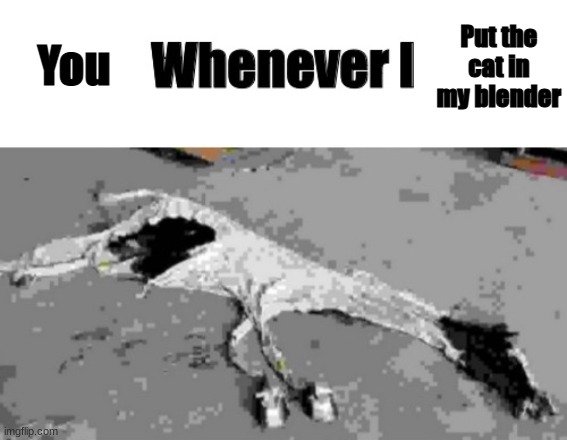 Whenever I | You Put the cat in my blender | image tagged in whenever i | made w/ Imgflip meme maker