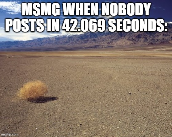 relatable | MSMG WHEN NOBODY POSTS IN 42.069 SECONDS: | image tagged in desert tumbleweed | made w/ Imgflip meme maker