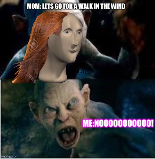 Walk in the wind be like | MOM: LETS GO FOR A WALK IN THE WIND; ME:NOOOOOOOOOOO! | image tagged in smeagol we hates it | made w/ Imgflip meme maker