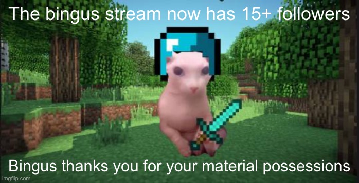 Minecraft bingus | The bingus stream now has 15+ followers; Bingus thanks you for your material possessions | image tagged in minecraft bingus,bingus | made w/ Imgflip meme maker