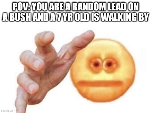 We've done this before haven't we | POV: YOU ARE A RANDOM LEAD ON A BUSH AND A 7 YR OLD IS WALKING BY | image tagged in memes | made w/ Imgflip meme maker