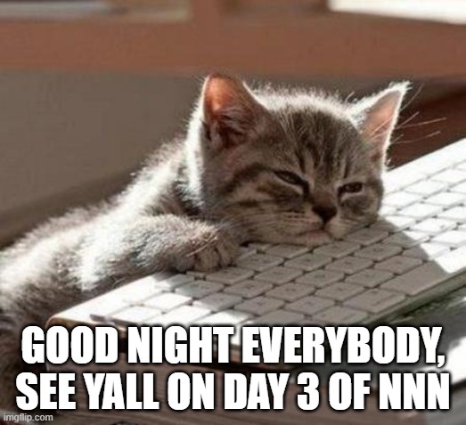 nighty night | GOOD NIGHT EVERYBODY, SEE YALL ON DAY 3 OF NNN | image tagged in tired cat | made w/ Imgflip meme maker