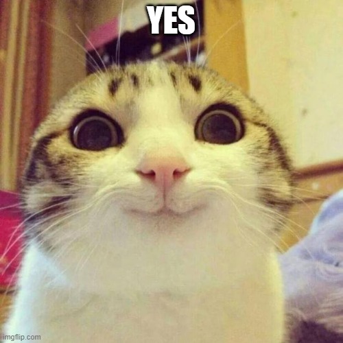 Smiling Cat Meme | YES | image tagged in memes,smiling cat | made w/ Imgflip meme maker