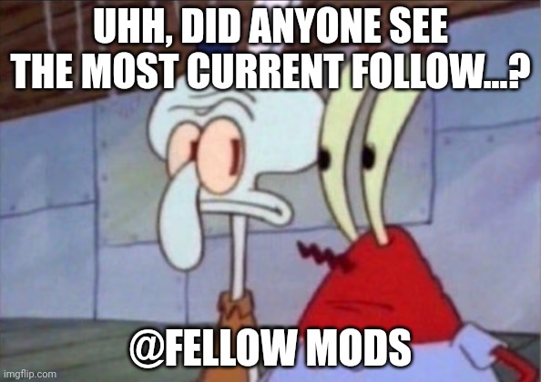 Stream follows | UHH, DID ANYONE SEE THE MOST CURRENT FOLLOW...? @FELLOW MODS | image tagged in squidward and mr krabs look at each other | made w/ Imgflip meme maker