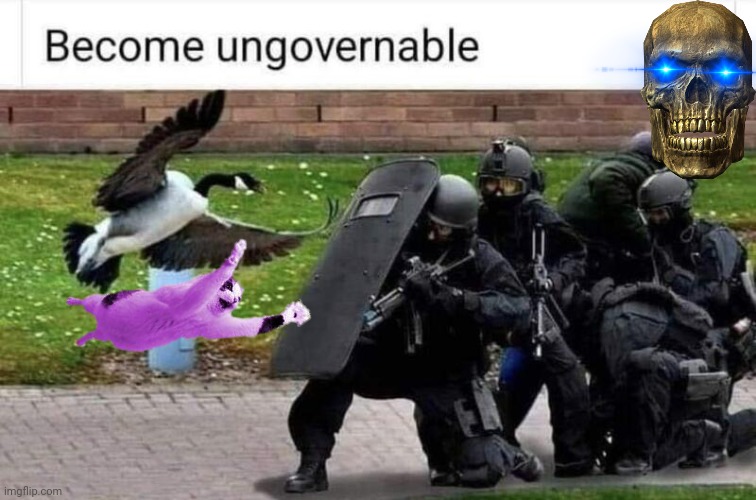 Become ungovernable SWAT vs Cat and Bird | image tagged in raycat | made w/ Imgflip meme maker