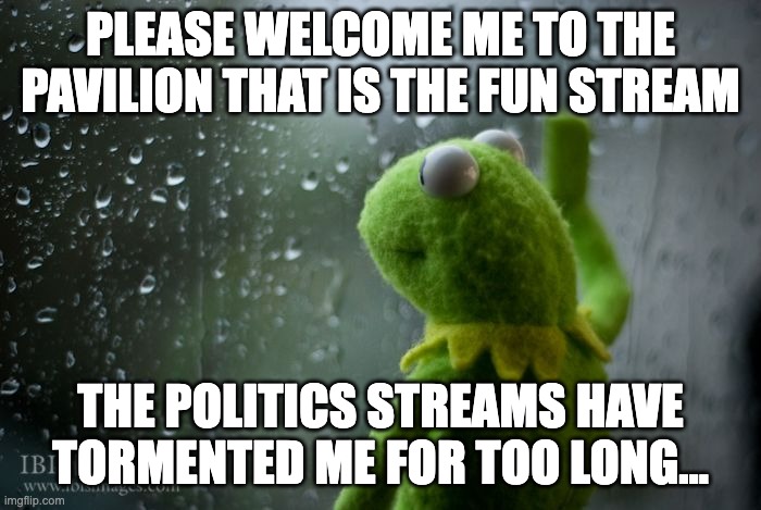 i deleted all my politics memes. i'm done unintentionally inciting anger even if i want to discuss |  PLEASE WELCOME ME TO THE PAVILION THAT IS THE FUN STREAM; THE POLITICS STREAMS HAVE TORMENTED ME FOR TOO LONG... | image tagged in kermit window | made w/ Imgflip meme maker