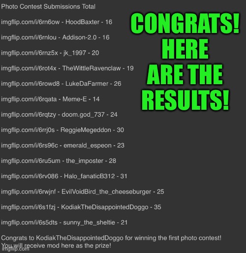Finally, we got to do the voting. Upvote and comment if you want more contests. | CONGRATS! HERE ARE THE RESULTS! | image tagged in fun | made w/ Imgflip meme maker