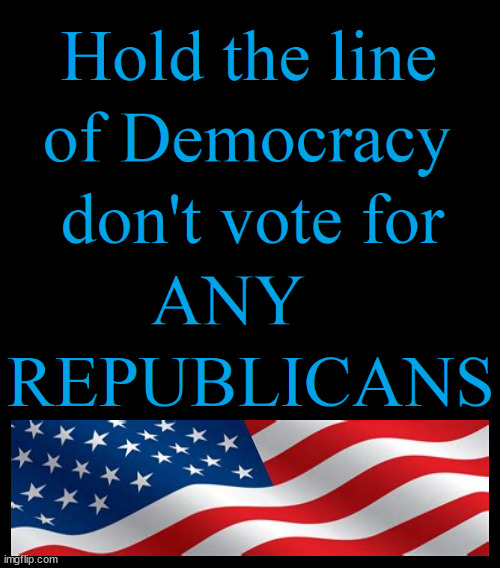 Save Democracy | image tagged in democracy,freedom,fascists,maga,democrats | made w/ Imgflip meme maker