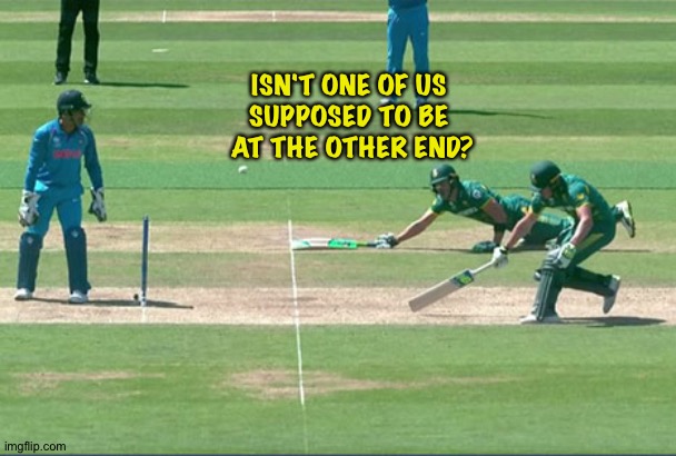 Cricket | ISN'T ONE OF US 
SUPPOSED TO BE 
AT THE OTHER END? | image tagged in cricket | made w/ Imgflip meme maker