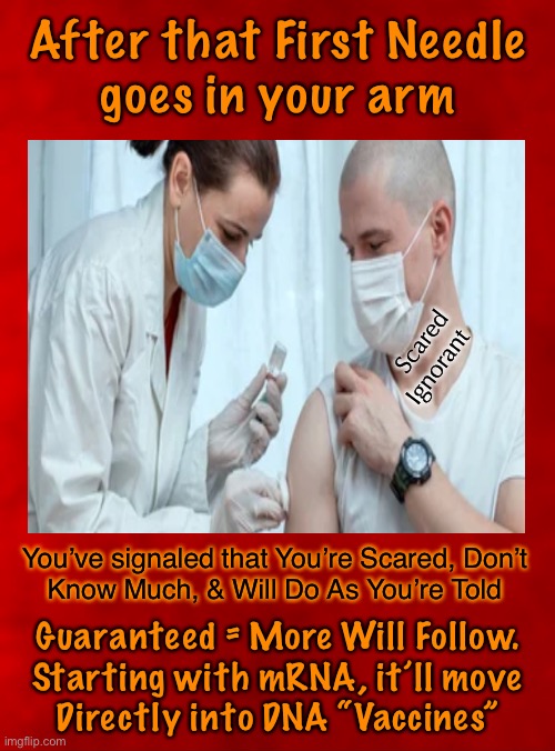 Ok… benefit of the doubt:  maybe Naive, Trusting | After that First Needle
goes in your arm; Scared
Ignorant; You’ve signaled that You’re Scared, Don’t
Know Much, & Will Do As You’re Told; Guaranteed = More Will Follow.
Starting with mRNA, it’ll move
Directly into DNA “Vaccines” | image tagged in memes,vaccines,they will keep pushing,allow them in n progression of shots is guaranteed,fjb voters n progressives kissmyass | made w/ Imgflip meme maker