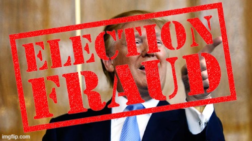 THE REAL ELECTION FRAUD | image tagged in donald trump approves,election fraud,project diva,zero,voter fraud,trump lies | made w/ Imgflip meme maker
