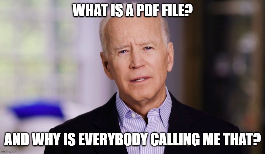 PDF file |  WHAT IS A PDF FILE? AND WHY IS EVERYBODY CALLING ME THAT? | image tagged in joe biden 2020 | made w/ Imgflip meme maker