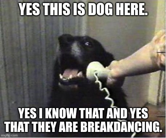 Yes this is dog | YES THIS IS DOG HERE. YES I KNOW THAT AND YES THAT THEY ARE BREAKDANCING. | image tagged in yes this is dog | made w/ Imgflip meme maker