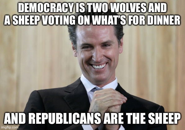 Scheming Gavin Newsom  | DEMOCRACY IS TWO WOLVES AND A SHEEP VOTING ON WHAT’S FOR DINNER AND REPUBLICANS ARE THE SHEEP | image tagged in scheming gavin newsom | made w/ Imgflip meme maker