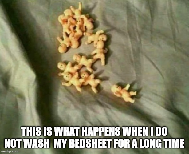 ever happened to you ? | THIS IS WHAT HAPPENS WHEN I DO NOT WASH  MY BEDSHEET FOR A LONG TIME | image tagged in bedsheet,memes,funny,hilarious memes | made w/ Imgflip meme maker