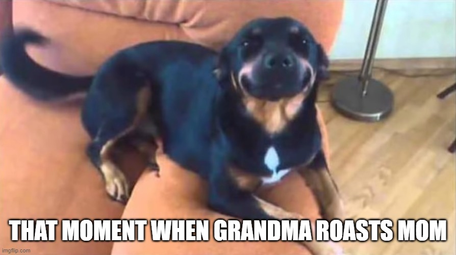grandma vs mom | THAT MOMENT WHEN GRANDMA ROASTS MOM | image tagged in dogs | made w/ Imgflip meme maker