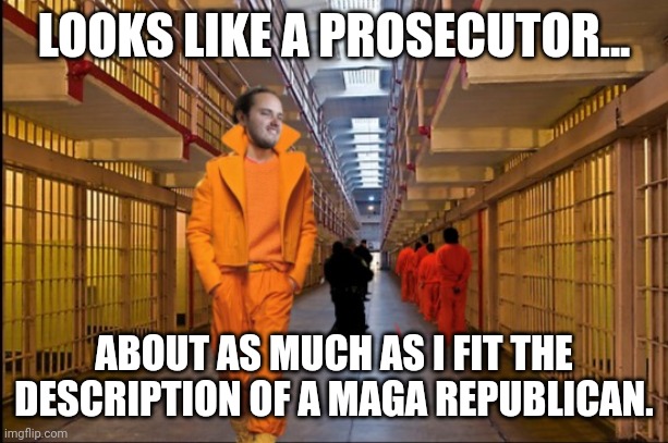 LOOKS LIKE A PROSECUTOR... ABOUT AS MUCH AS I FIT THE DESCRIPTION OF A MAGA REPUBLICAN. | made w/ Imgflip meme maker