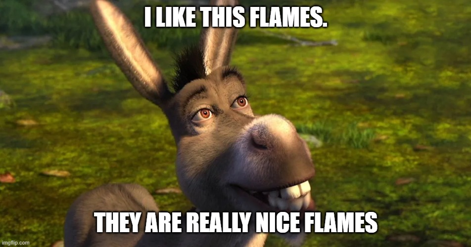 I LIKE THIS FLAMES. THEY ARE REALLY NICE FLAMES | made w/ Imgflip meme maker