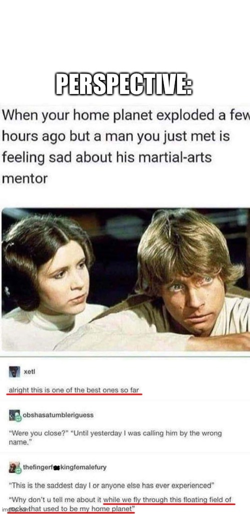 Perspective |  PERSPECTIVE: | image tagged in luke skywalker,darth vader,princess leia,planet | made w/ Imgflip meme maker