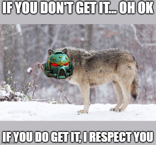 Space Wolf | IF YOU DON'T GET IT... OH OK; IF YOU DO GET IT, I RESPECT YOU | image tagged in space wolf | made w/ Imgflip meme maker