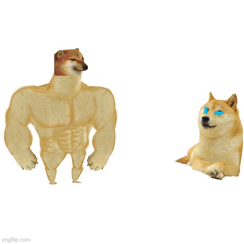 Buff Cheems VS Doge | image tagged in memes,blank transparent square | made w/ Imgflip meme maker