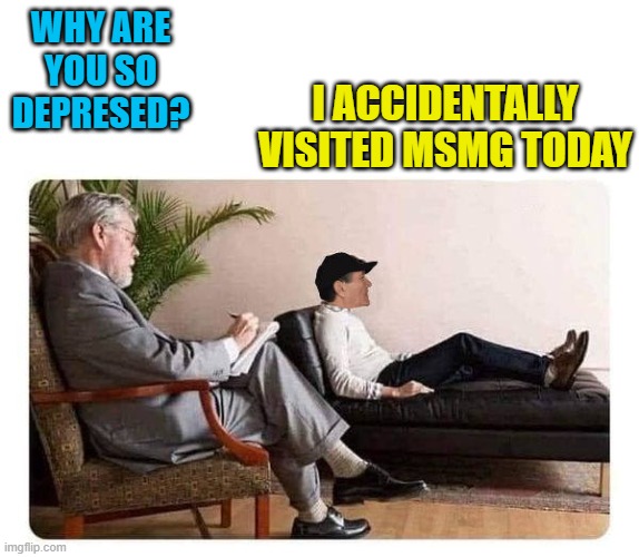MY EYES! | WHY ARE YOU SO DEPRESED? I ACCIDENTALLY VISITED MSMG TODAY | image tagged in shrink and kewlew | made w/ Imgflip meme maker