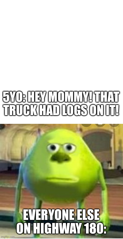 Some people will get it others won’t (hint FD 2) | 5YO: HEY MOMMY! THAT TRUCK HAD LOGS ON IT! EVERYONE ELSE ON HIGHWAY 180: | image tagged in blank square,mike wozaski stare | made w/ Imgflip meme maker