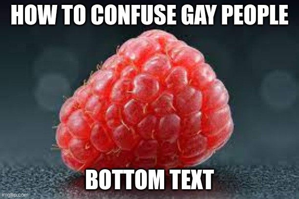 Image Title | HOW TO CONFUSE GAY PEOPLE; BOTTOM TEXT | image tagged in stop reading the tags,why are you reading the tags | made w/ Imgflip meme maker