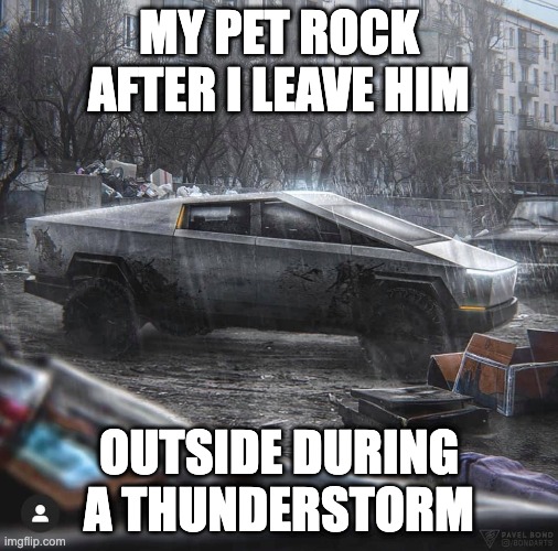 HE'S STILL ALIVE! | MY PET ROCK AFTER I LEAVE HIM; OUTSIDE DURING A THUNDERSTORM | image tagged in tesla cyber truck,pet rock,yay | made w/ Imgflip meme maker