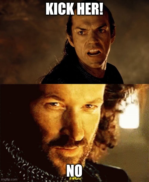 LOTR NO | KICK HER! NO | image tagged in lotr no | made w/ Imgflip meme maker